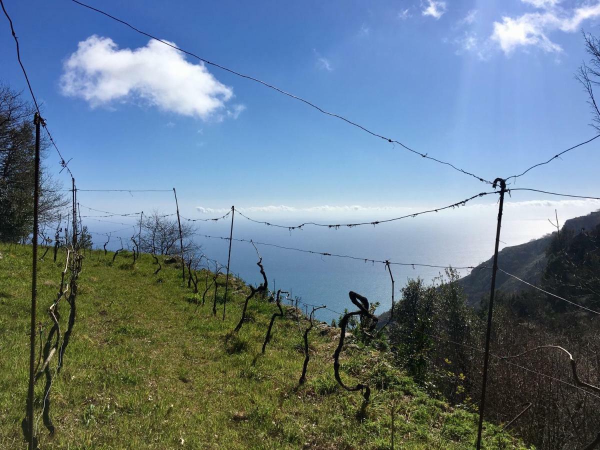 La Libraia Daire Agerola Dış mekan fotoğraf